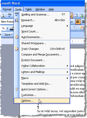 Options d'ouverture dans Word 2003