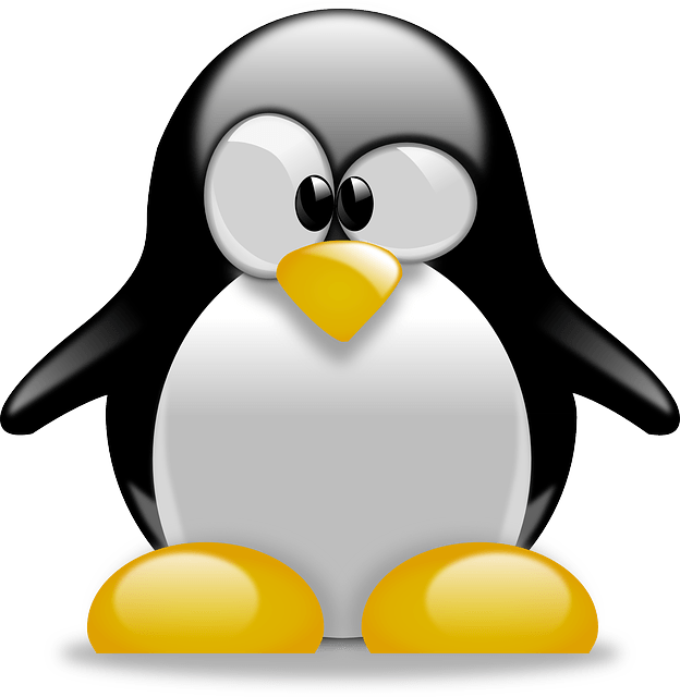 Linux Live USB Creator vous permet de creer un systeme